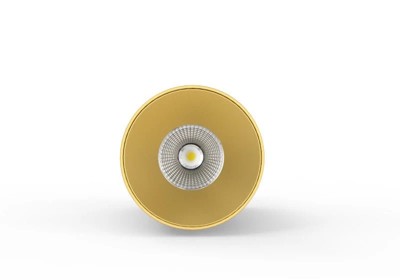LC307 12W Surface Mounted Downlight CCT Brass 200mm | Lighting Creations - Image 3