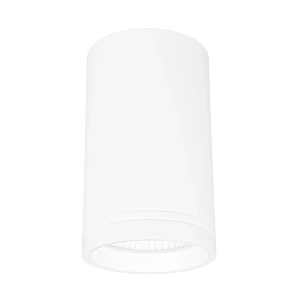 Surface Mounted LED Downlight 35w White, Black, Silver 2.7k, 3k, 4k, 5k CRI 90+, VIVID XSR35 Trend Lighting - Image 4